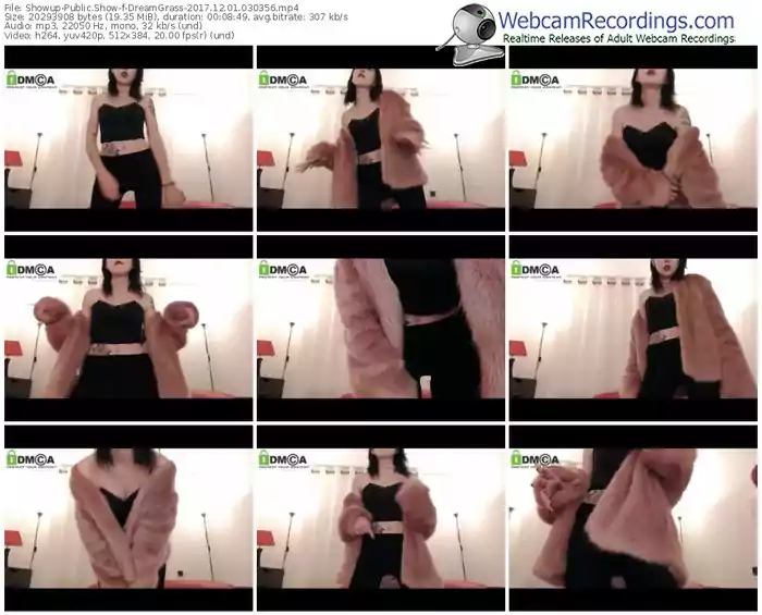 showup-dreamgrass-webcam-show-12_01_2017-03_03_56