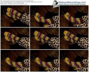 showup-pussycat-webcam-show-12_01_2017-02_53_56