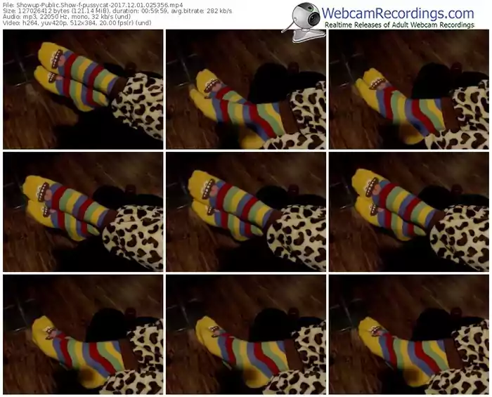 showup-pussycat-webcam-show-12_01_2017-02_53_56