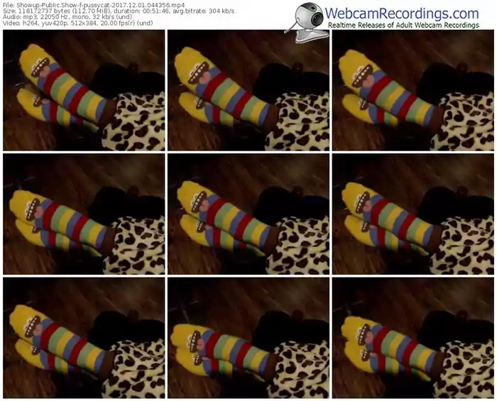 showup-pussycat-webcam-show-12_01_2017-04_43_56
