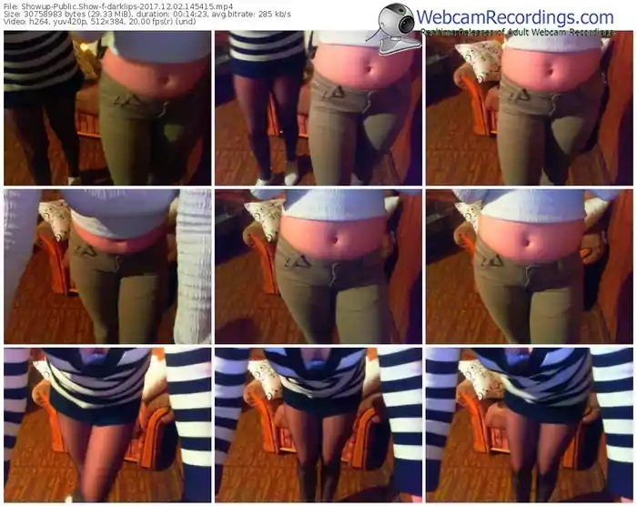 showup-darklips-webcam-show-12_02_2017-14_54_15