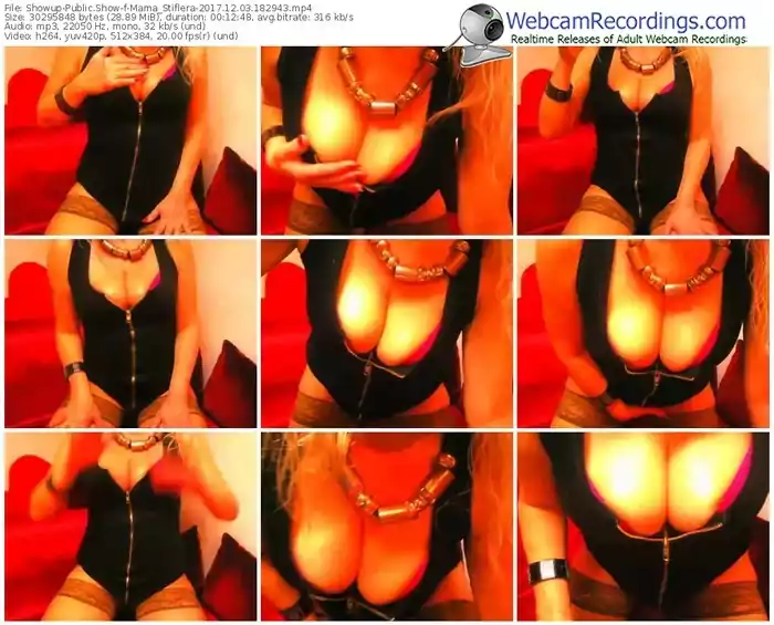 showup-mama_stiflera-webcam-show-12_03_2017-18_29_43