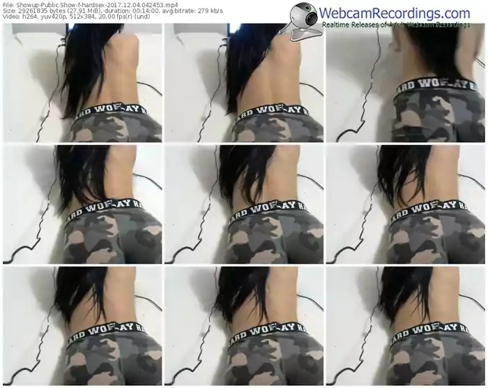 showup-hardsex-webcam-show-12_04_2017-04_24_53