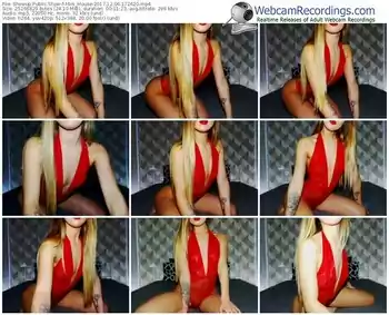 showup-mini_mouse-webcam-show-12_06_2017-17_26_20