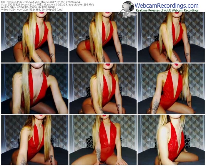 showup-mini_mouse-webcam-show-12_06_2017-17_26_20