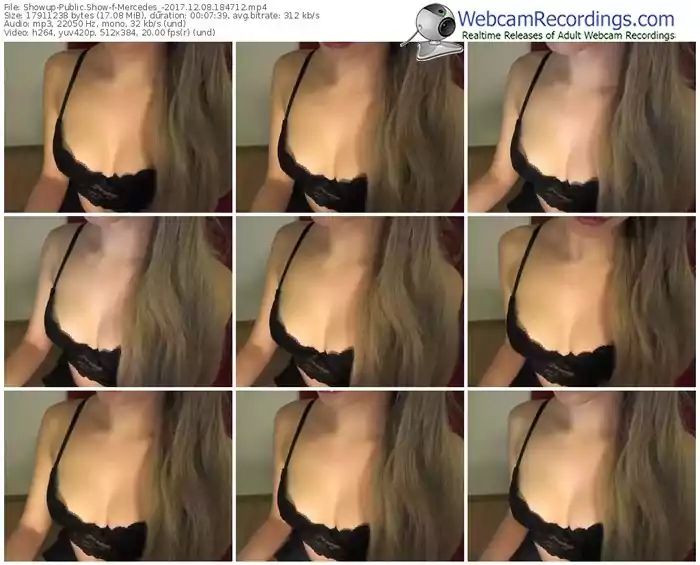 showup-mercedes_-webcam-show-12_08_2017-18_47_12