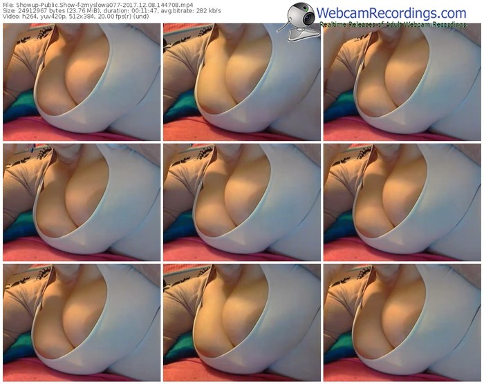 showup-zmyslowa077-webcam-show-12_08_2017-14_47_08