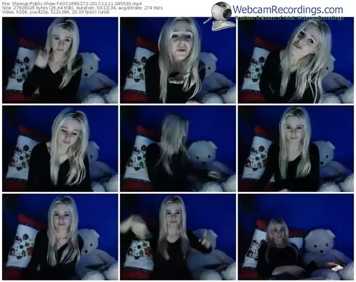 showup-kocurek272-webcam-show-12_11_2017-04_55_30