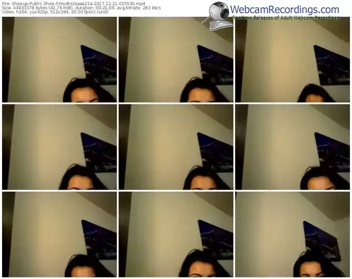showup-modliszkaaa21a-webcam-show-12_11_2017-01_55_30