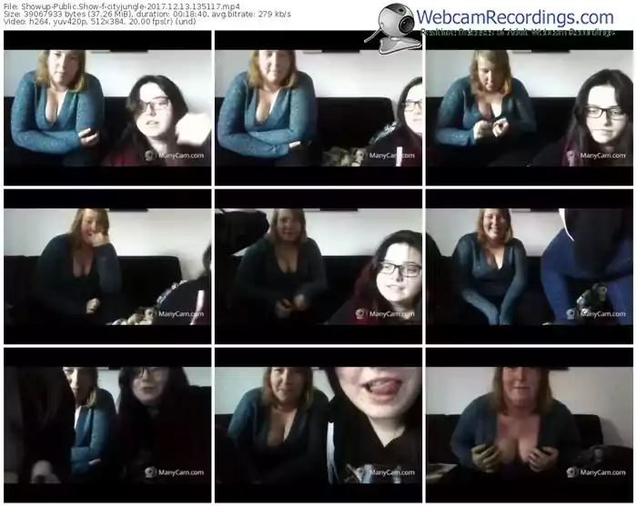 showup-cityjungle-webcam-show-12_13_2017-13_51_17