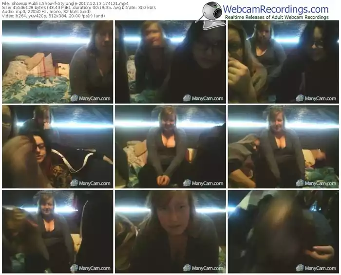 showup-cityjungle-webcam-show-12_13_2017-17_41_21