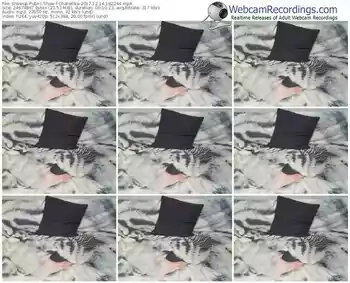 showup-chanellka-webcam-show-12_14_2017-18_22_44