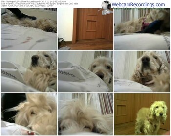 showup-pureboomb-webcam-show-12_14_2017-19_32_45