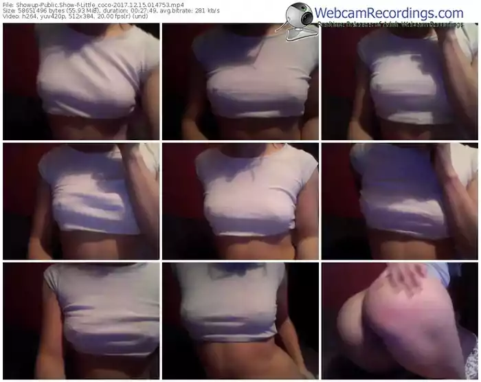 showup-little_coco-webcam-show-12_15_2017-01_47_53