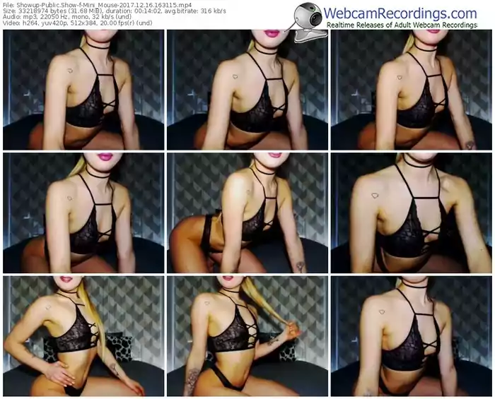 showup-mini_mouse-webcam-show-12_16_2017-16_31_15