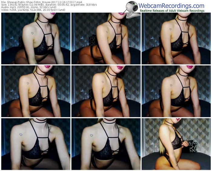 showup-mini_mouse-webcam-show-12_16_2017-17_21_17