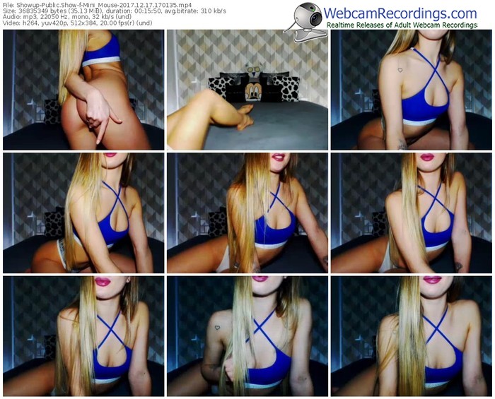 showup-mini_mouse-webcam-show-12_17_2017-17_01_35