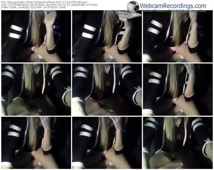 showup-diamenciktwoj-webcam-show-12_18_2017-03_51_38