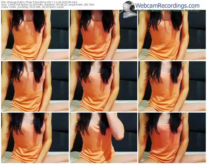 showup-sunshine-webcam-show-12_18_2017-04_31_38