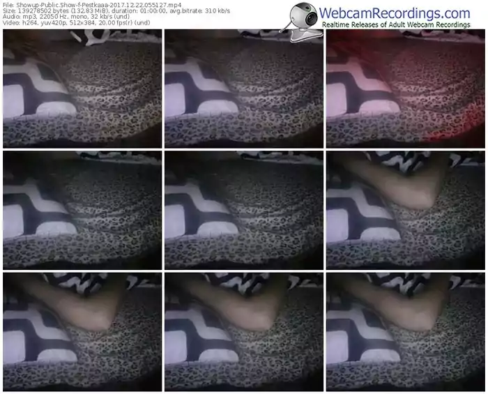 showup-pestkaaa-webcam-show-12_22_2017-05_51_27