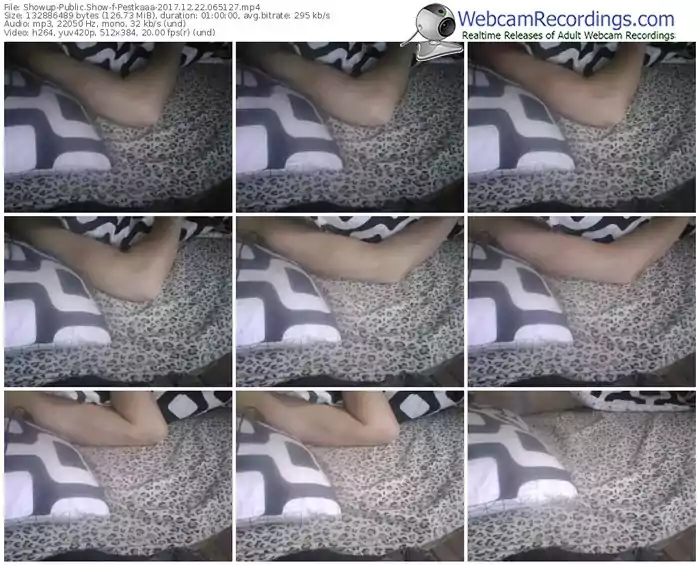showup-pestkaaa-webcam-show-12_22_2017-06_51_27