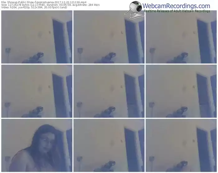 showup-poprostuania-webcam-show-12_22_2017-12_11_36