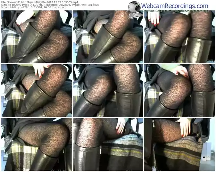 showup-brigitte-webcam-show-12_23_2017-16_35_03