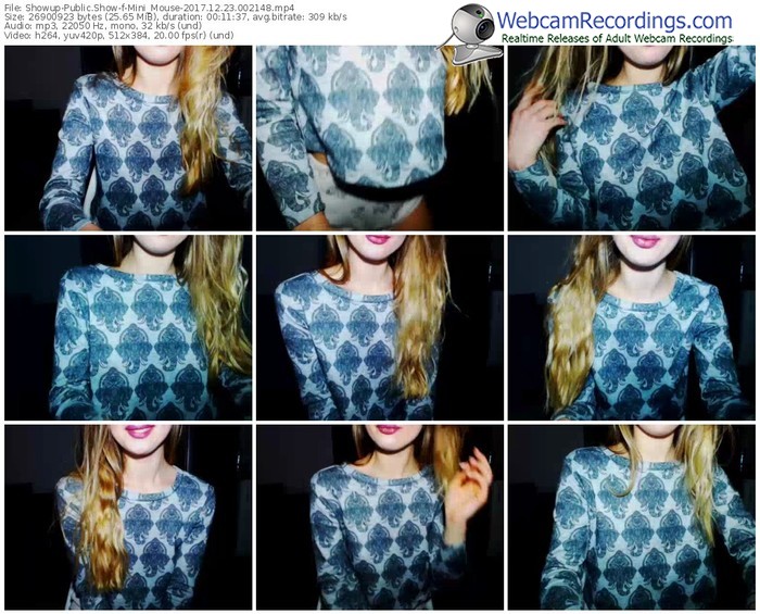 showup-mini_mouse-webcam-show-12_23_2017-00_21_48