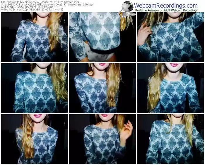 showup-mini_mouse-webcam-show-12_23_2017-00_21_48