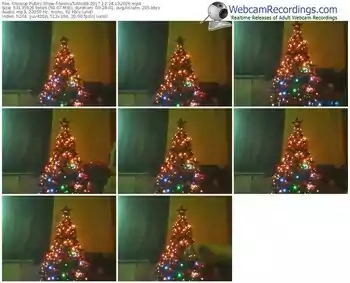 showup-niematunic88-webcam-show-12_24_2017-13_20_26