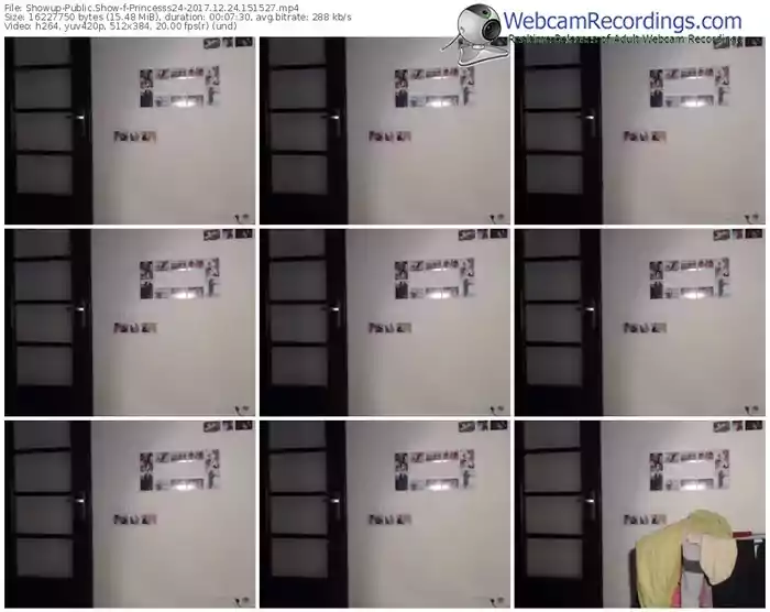 showup-princesss24-webcam-show-12_24_2017-15_15_27