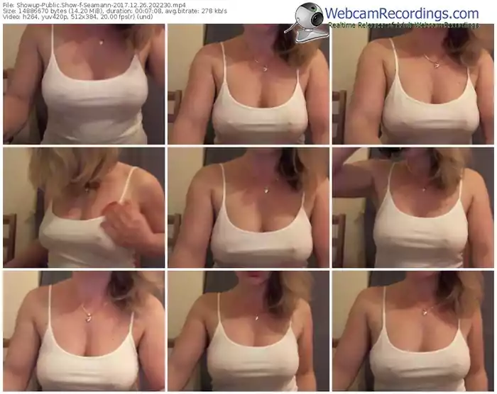 showup-seamann-webcam-show-12_26_2017-20_22_30