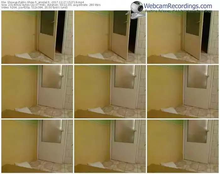 showup-_aniela19_-webcam-show-12_27_2017-15_27_19