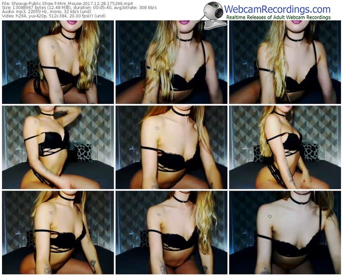 showup-mini_mouse-webcam-show-12_28_2017-17_52_46