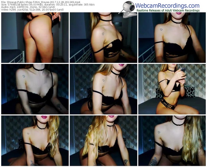 showup-mini_mouse-webcam-show-12_28_2017-20_12_49