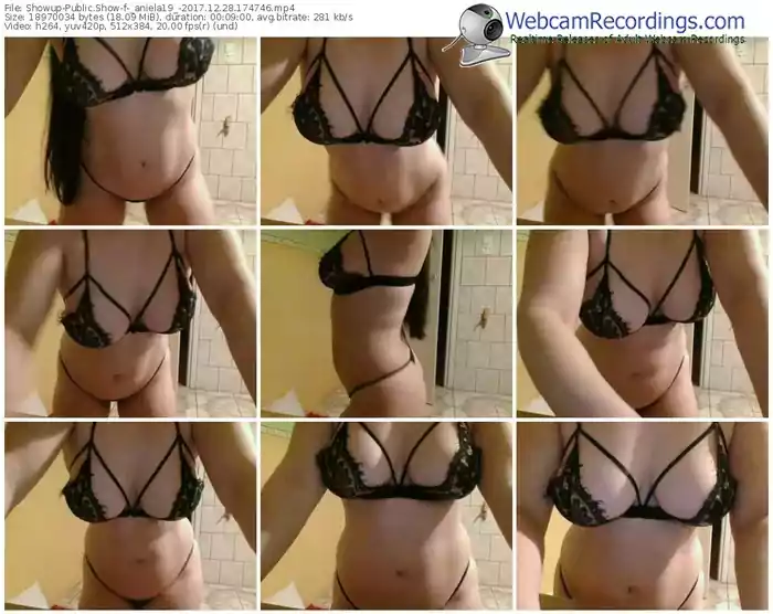 showup-_aniela19_-webcam-show-12_28_2017-17_47_46
