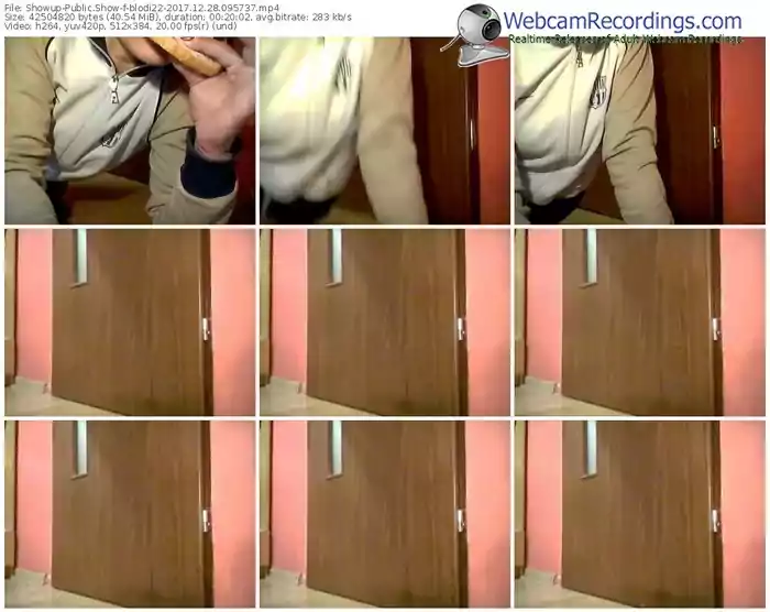 showup-blodi22-webcam-show-12_28_2017-09_57_37