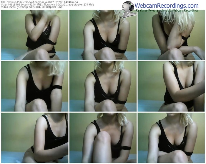 showup-dagmar_a-webcam-show-12_28_2017-11_47_40