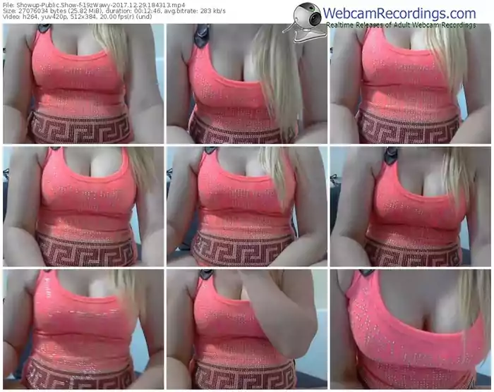 showup-19zwawy-webcam-show-12_29_2017-18_43_13