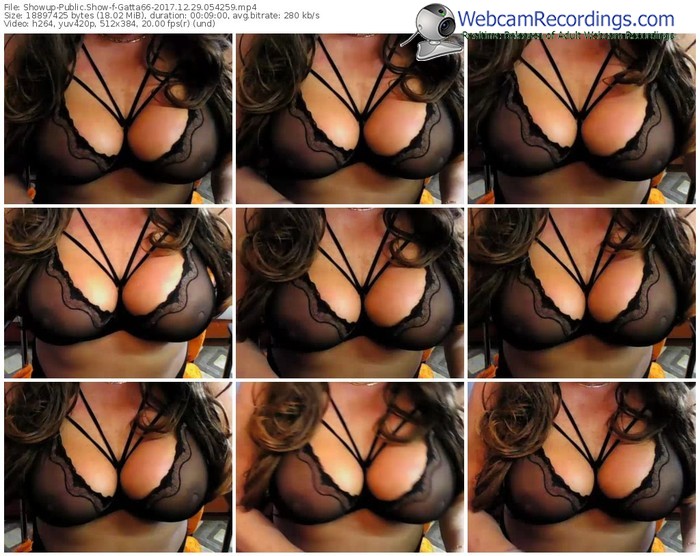 showup-gatta66-webcam-show-12_29_2017-05_42_59