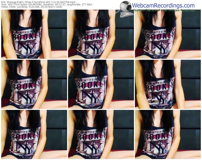 showup-sunshine-webcam-show-12_29_2017-04_27_58