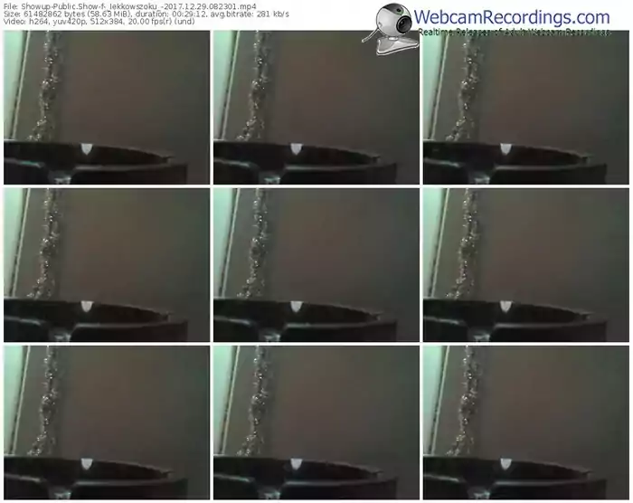 showup-_lekkowszoku_-webcam-show-12_29_2017-08_23_01