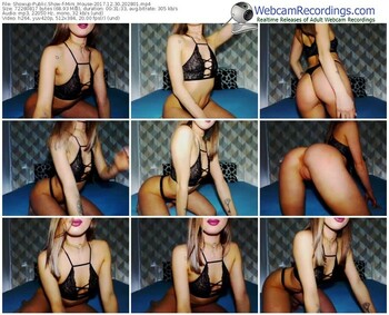 showup-mini_mouse-webcam-show-12_30_2017-20_28_01