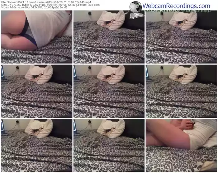 showup-niesmialapara69-webcam-show-12_30_2017-02_42_40