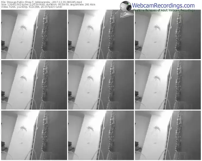 showup-_lekkowszoku_-webcam-show-12_30_2017-08_02_45