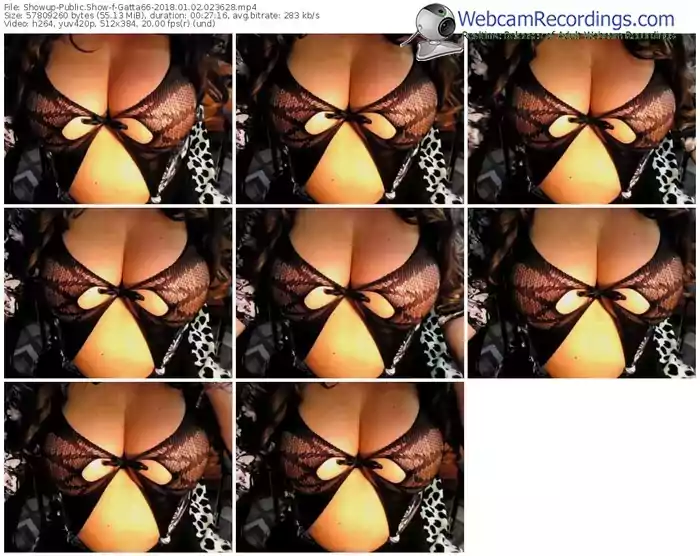 showup-gatta66-webcam-show-01_02_2018-02_36_28