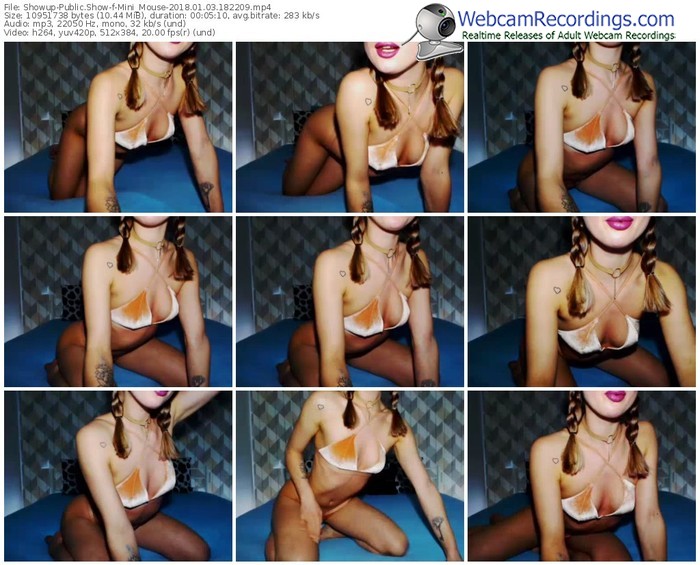 showup-mini_mouse-webcam-show-01_03_2018-18_22_09