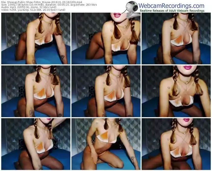 showup-mini_mouse-webcam-show-01_03_2018-18_22_09