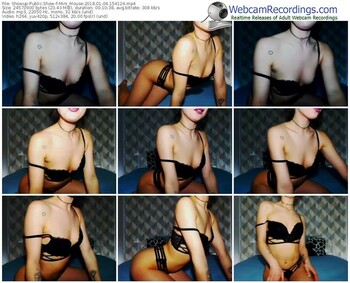 showup-mini_mouse-webcam-show-01_04_2018-15_41_24