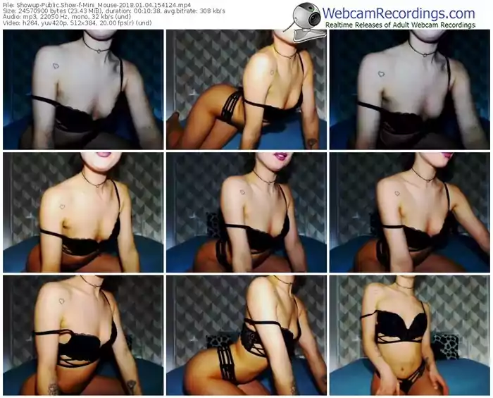 showup-mini_mouse-webcam-show-01_04_2018-15_41_24